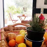 Le Caracol - Immersi Nel Della Campagna E A 1 Chilometro Da Apartment *