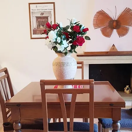 Apartment Caracol Country *